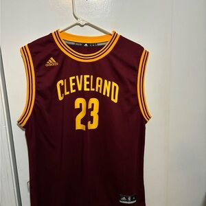 Adidas LeBron James Cleveland Jersey